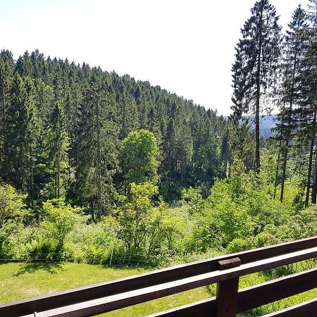 Fewo Waldblick Sankt Andreasberg Buitenkant foto