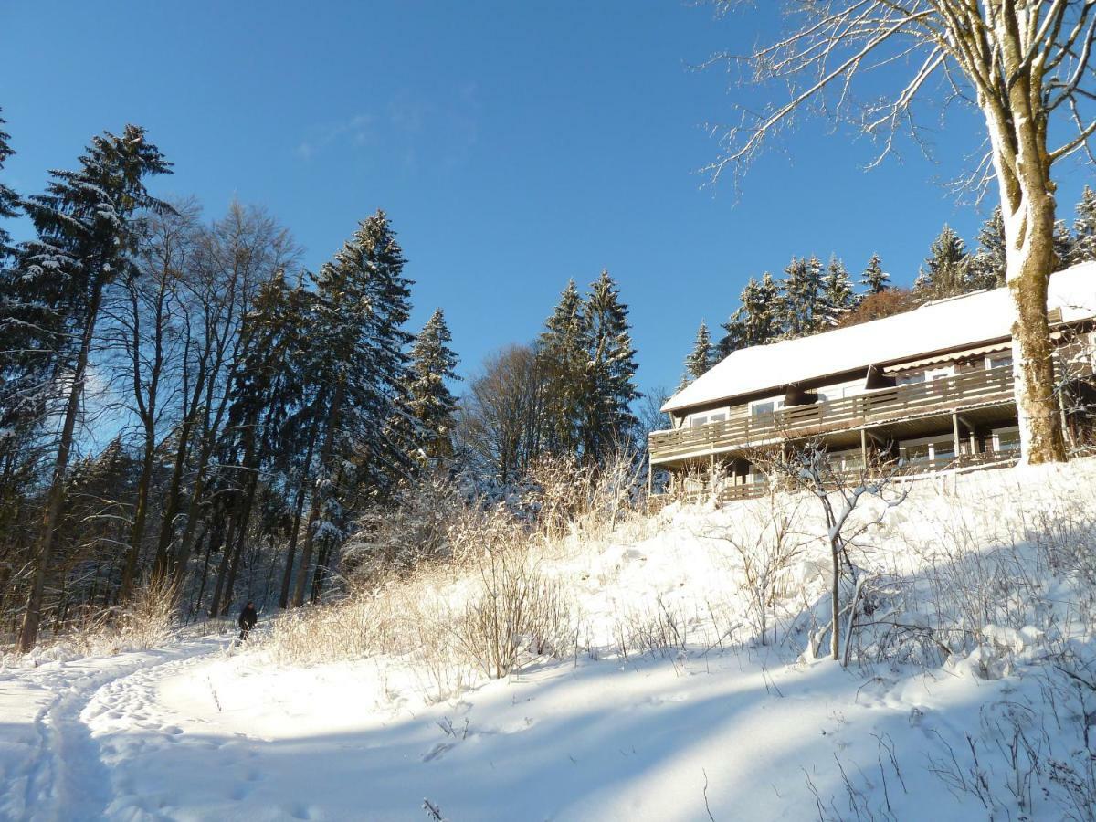 Fewo Waldblick Sankt Andreasberg Buitenkant foto