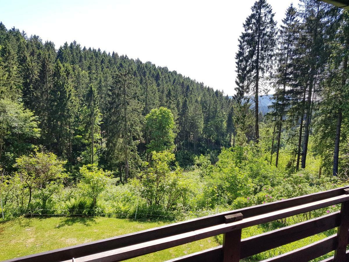 Fewo Waldblick Sankt Andreasberg Buitenkant foto