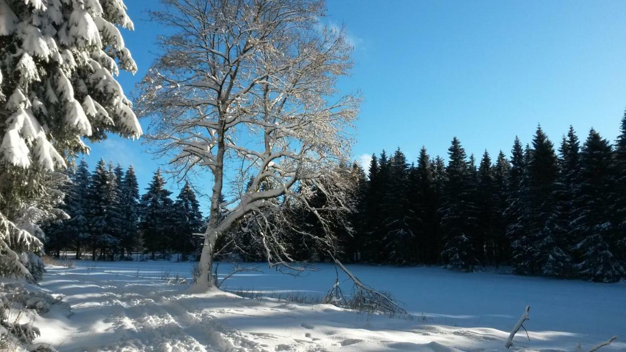 Fewo Waldblick Sankt Andreasberg Buitenkant foto